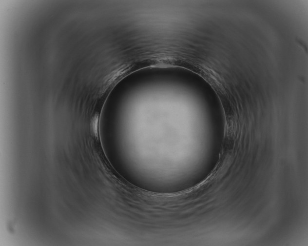 X0000091980047200709131420