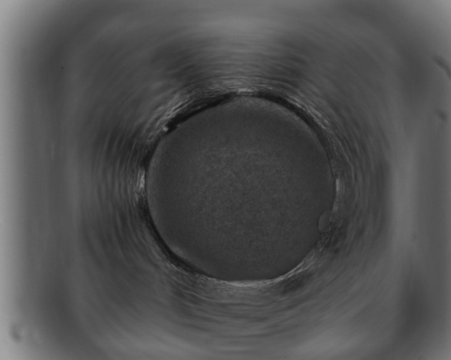 X0000091980048200709131420