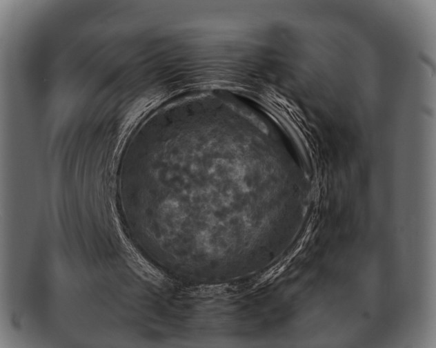 X0000091980049200709131419