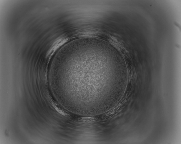 X0000091980050200709131419