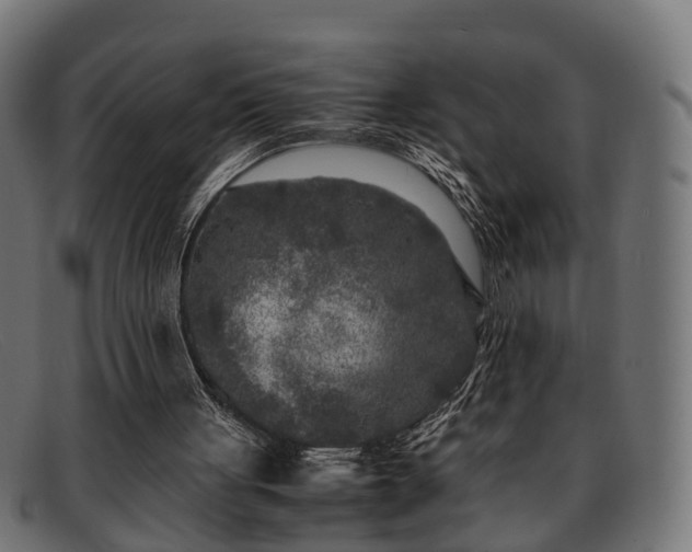 X0000091980051200709131419