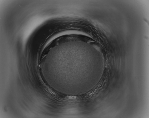 X0000091980052200709131419