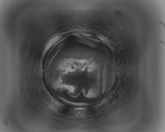 X0000091980053200709131419