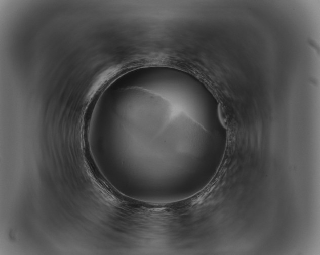 X0000091980054200709131419