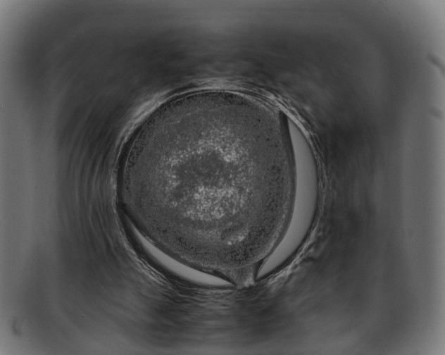 X0000091980055200709131419