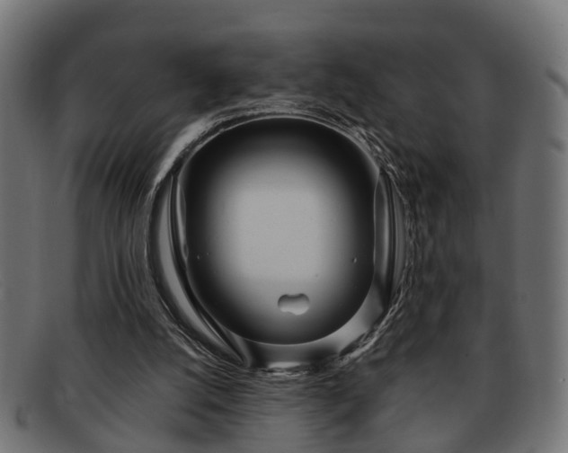 X0000091980056200709131419