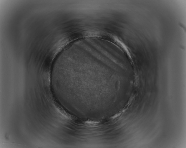 X0000091980059200709131420