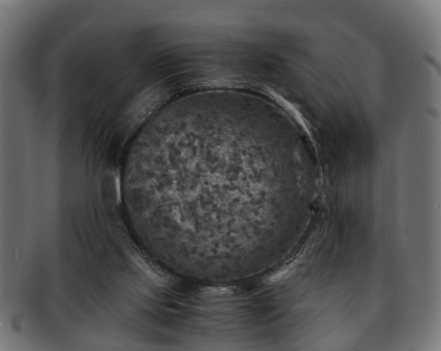 X0000091980061200709131420