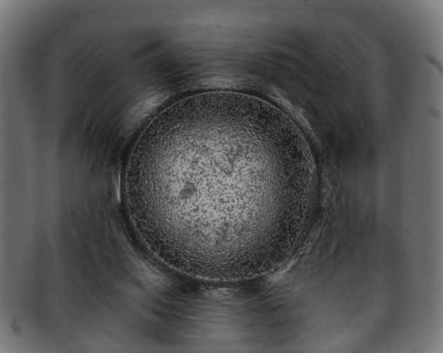 X0000091980062200709131420