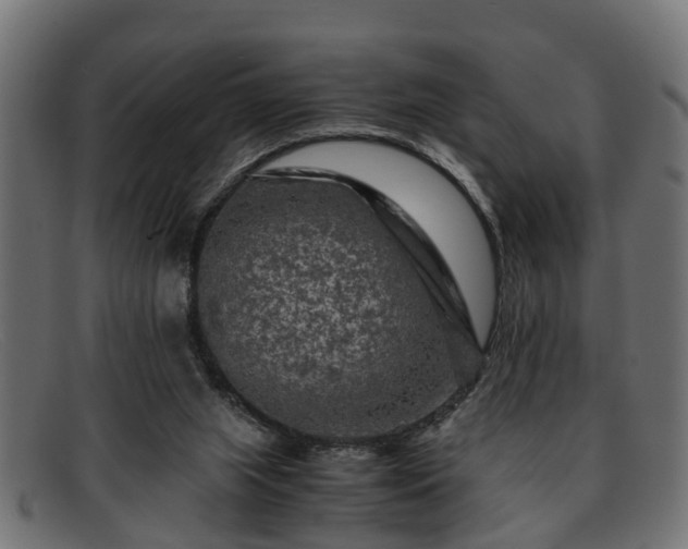 X0000091980063200709131420