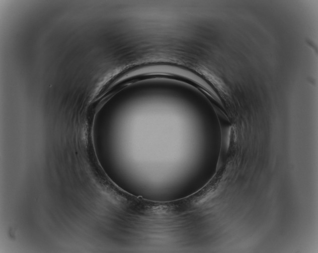 X0000091980064200709131420