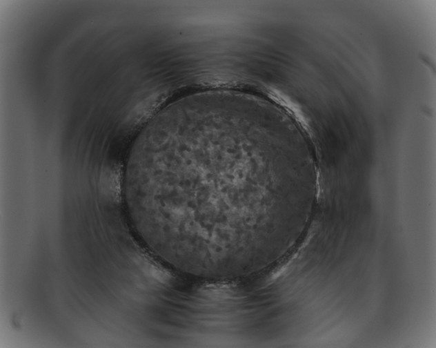 X0000091980065200709131420