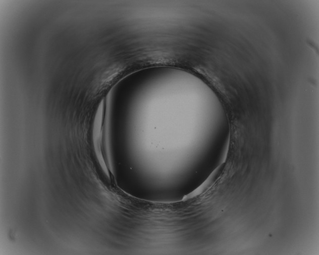 X0000091980066200709131420