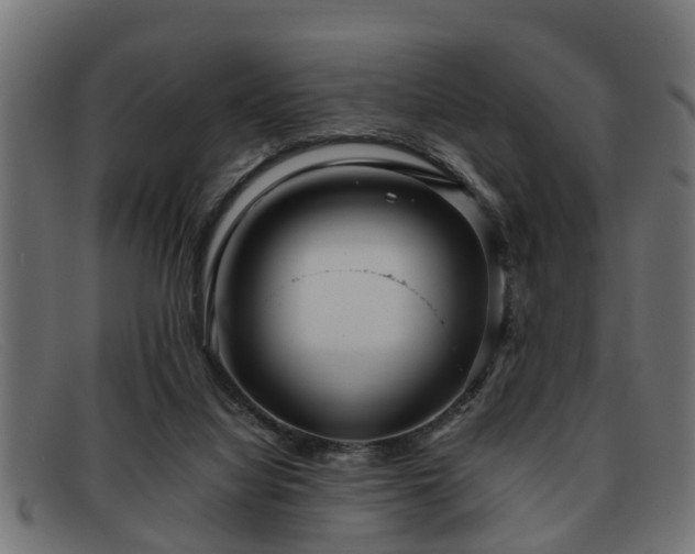 X0000091980068200709131420