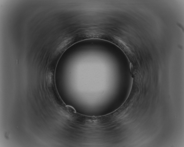 X0000091980071200709131420