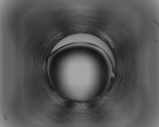 X0000091980073200709131420