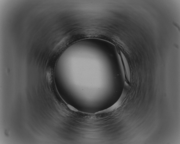 X0000091980074200709131420