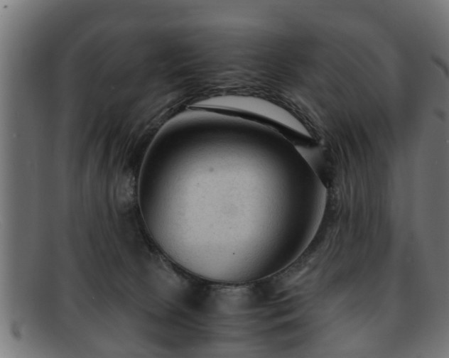 X0000091980081200709131420