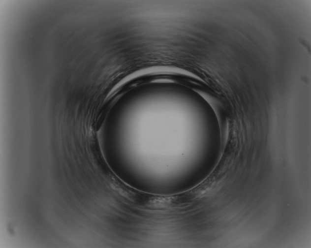 X0000091980084200709131420