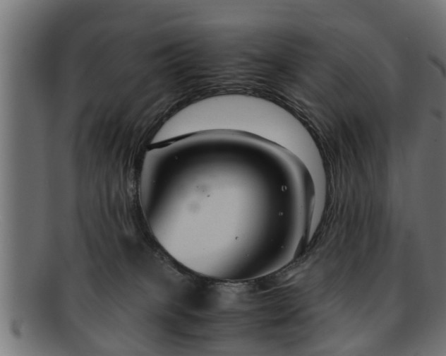 X0000091980085200709131420