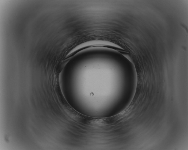 X0000091980086200709131420