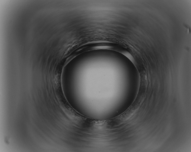 X0000091980088200709131420