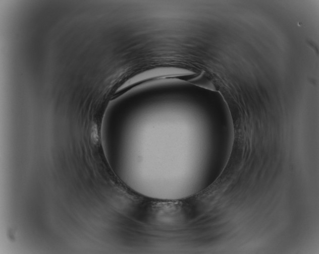 X0000091980089200709131420