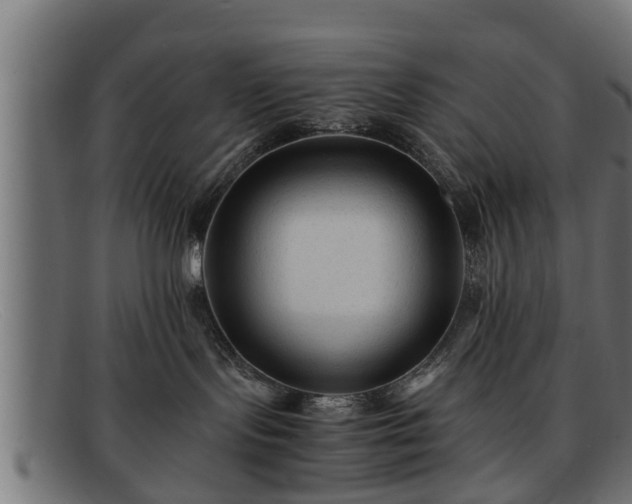 X0000091980095200709131420