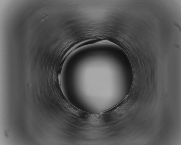 X0000091980096200709131420