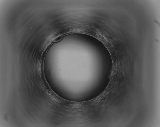 X0000091980098200709131419