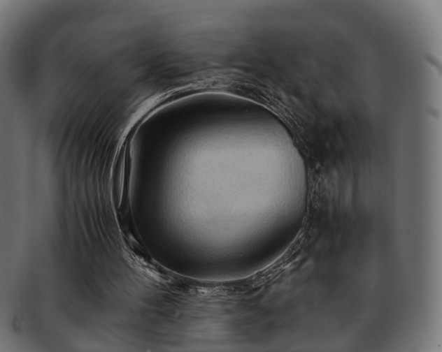 X0000091980100200709131419