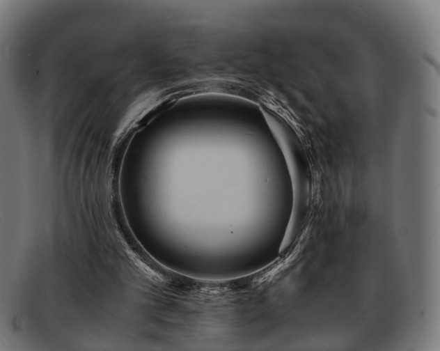 X0000091980101200709131419