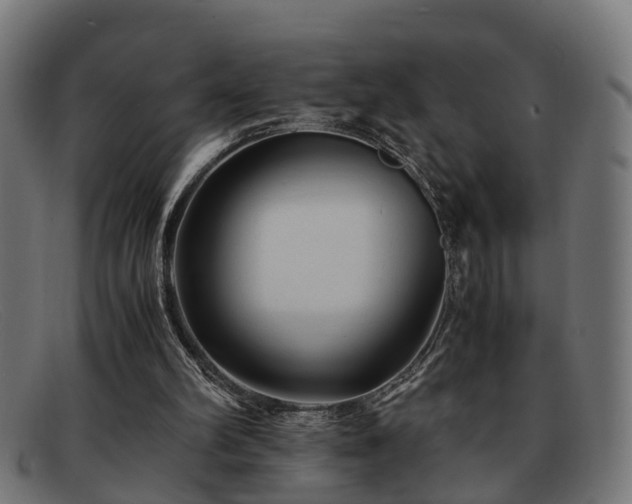 X0000091980102200709131419