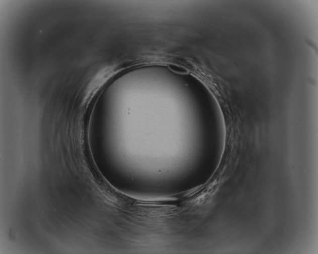 X0000091980103200709131419