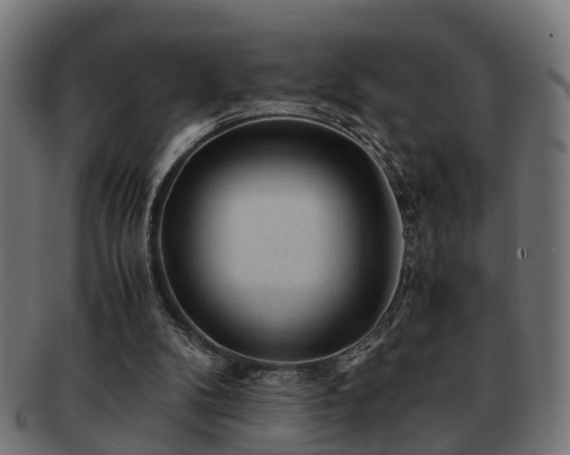 X0000091980104200709131419