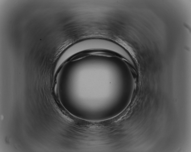 X0000091980105200709131419