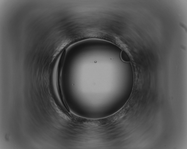 X0000091980106200709131419