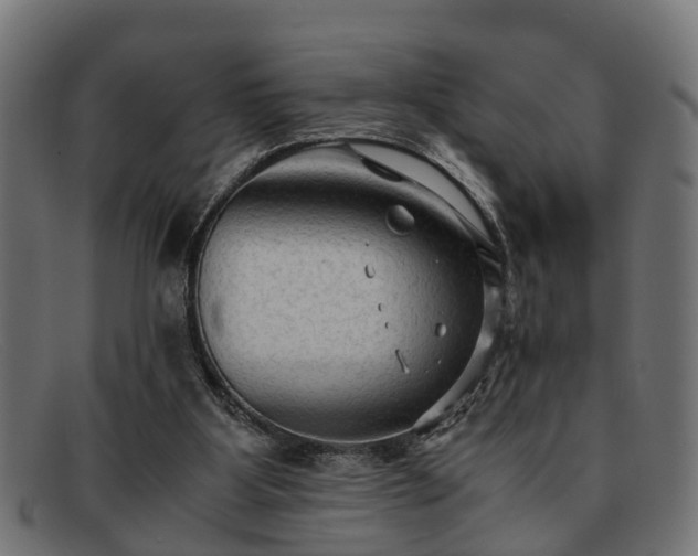 X0000091980107200709131419