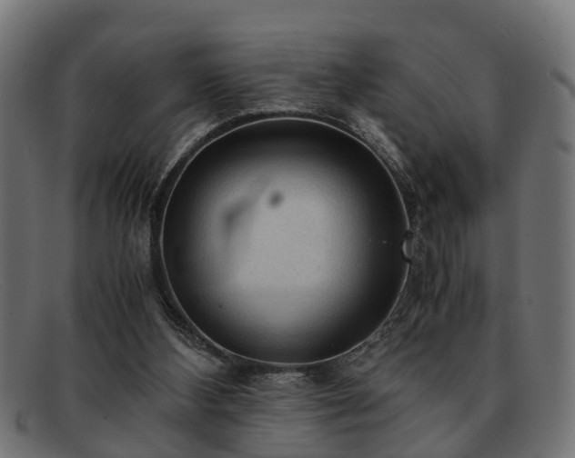 X0000091980108200709131419