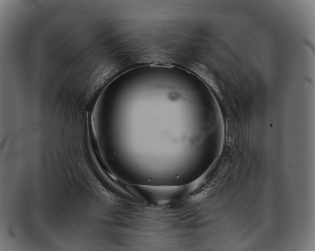 X0000091980109200709131419