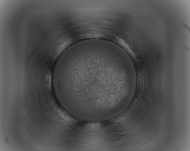 X0000091980110200709131419