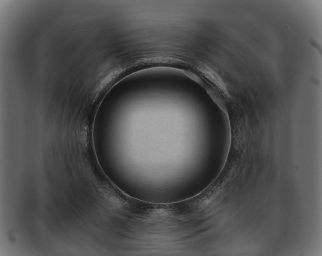 X0000091980111200709131419