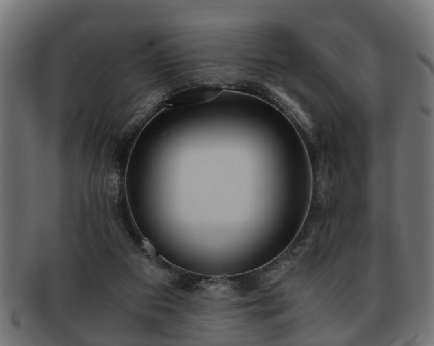 X0000091980113200709131419