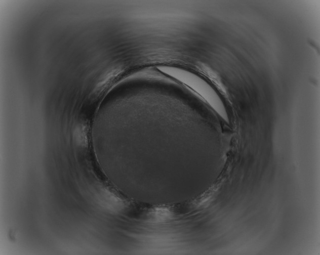 X0000091980114200709131419