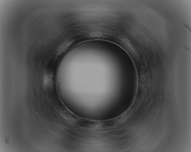 X0000091980116200709131419