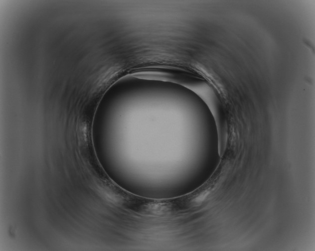 X0000091980117200709131419