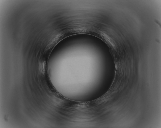 X0000091980118200709131419