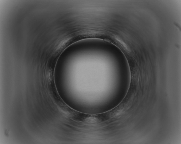 X0000091980119200709131419