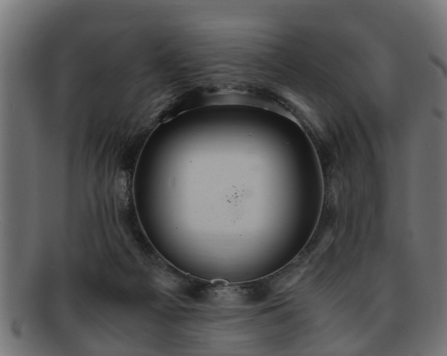 X0000091980121200709131419