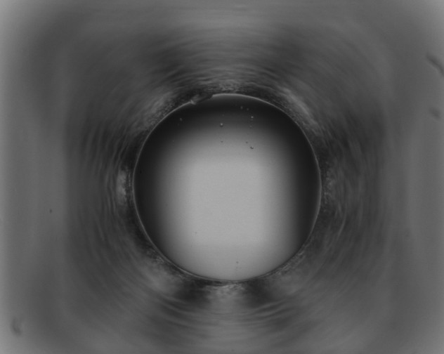 X0000091980122200709131419